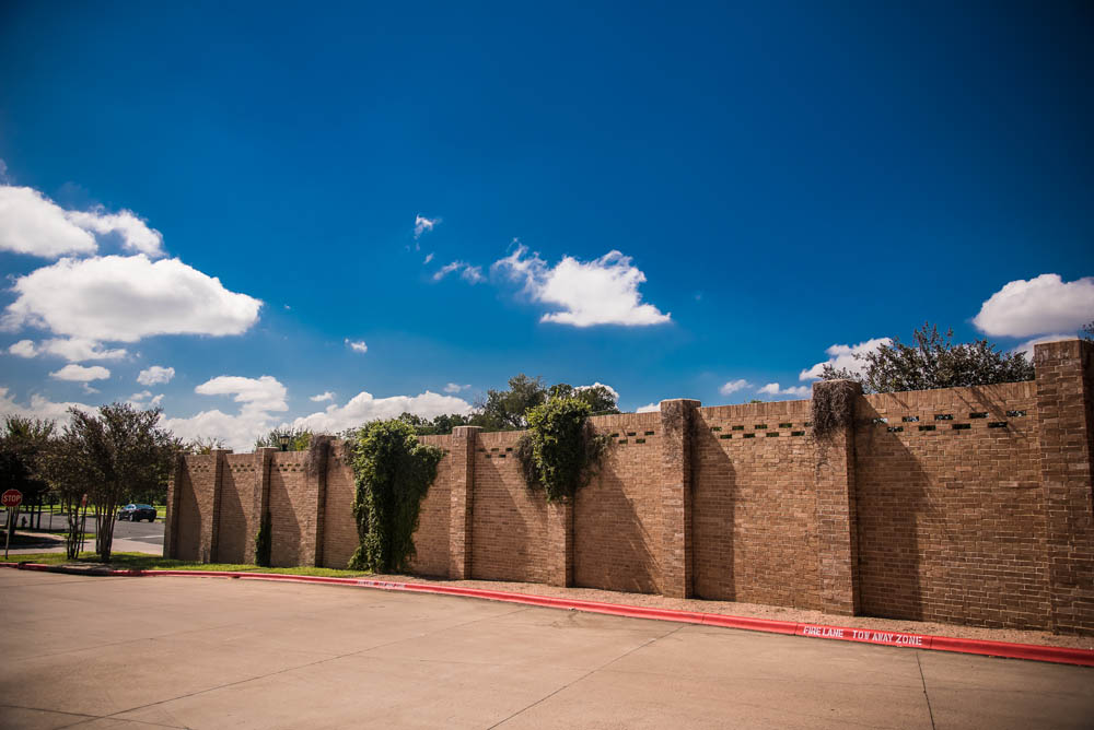 A tall brick wall with some green vines climbing its surface, set against a bright blue sky with scattered white clouds. Trees and a street are visible near the wall, and sunlight casts shadows on the pavement.