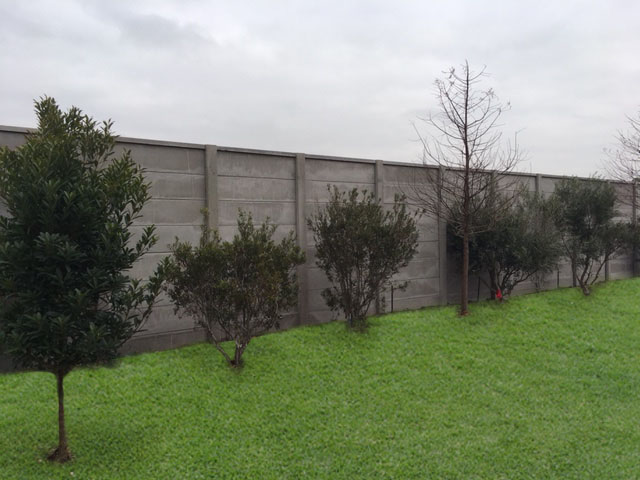 A row of small trees and bushes stands on bright green grass in front of a tall gray concrete wall under a cloudy sky.