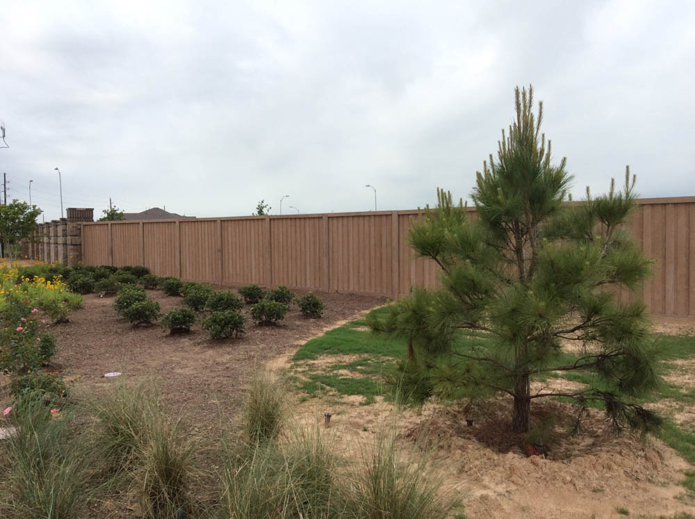 A young pine tree grows near a patch of grass and dirt, with small shrubs and yellow flowers planted along a wooden privacy fence on a cloudy day.