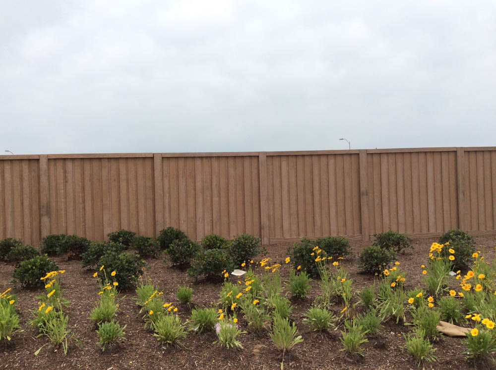 A row of yellow and green flowering plants grows in front of a tall, plain brown wooden fence under an overcast, cloudy sky.