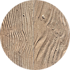 A circular piece of wood showing two different textures: the left half has pronounced grain patterns, while the right half is smoother with fewer visible lines. The wood appears to be light brown in color.