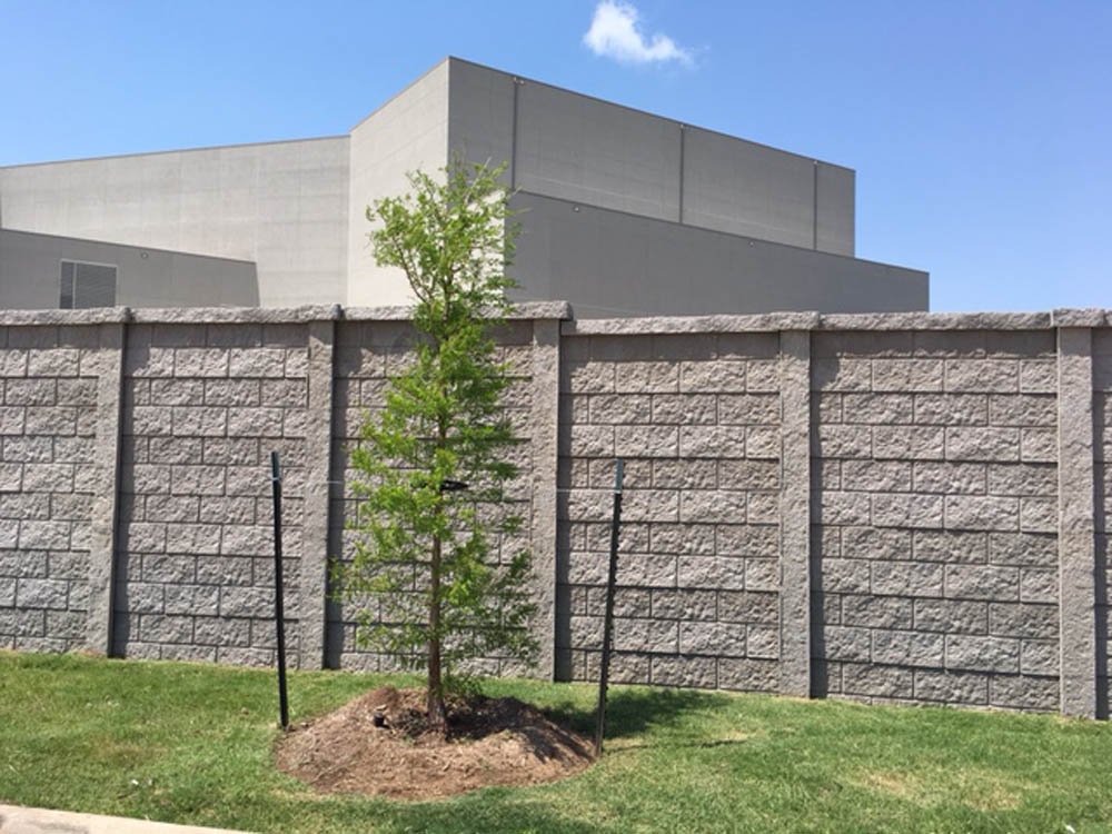 A young tree staked with two poles stands in front of a tall, gray concrete block wall, with a large industrial building and blue sky in the background.